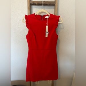 She + Sky Bodycon dress with Ruffle Sleeve